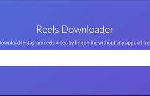 Reels Downloader screenshot 1