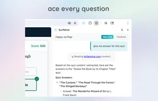 surfmind screenshot 3