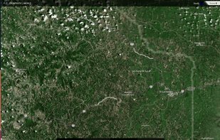 Zoomtastic screenshot 1