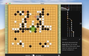 Sabaki screenshot 1