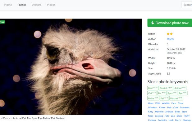 Wikimedia Commons Alternatives and Similar Apps & Services | AlternativeTo