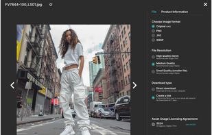 Download modal