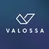 Valossa Assistant icon