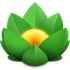 Versions icon
