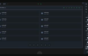 Comprehensive File Management