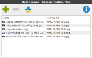 Thunar Bulk Renamer screenshot 1