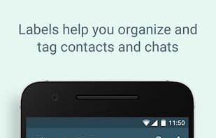 WhatsApp Business screenshot 2