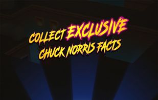 Nonstop Chuck Norris screenshot 2