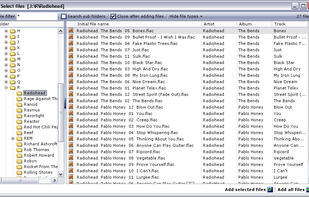 The screen where you select which files you want to rename