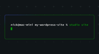 WordPress Studio 1.7 enhances the CLI with local site management, authentification & more image
