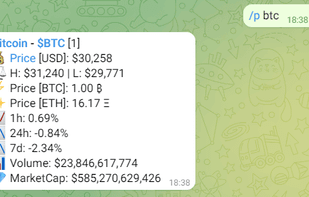 Price Information from Coingecko