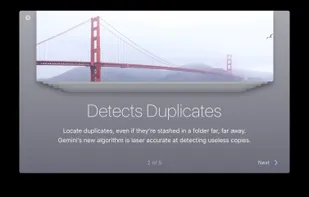 Gemini 2 screenshot 1
