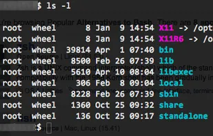 Bash using the ls command