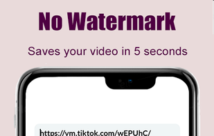 TikTok Video Downloader screenshot 2