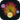 Festival Music Player icon