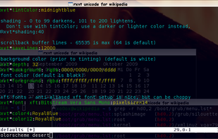 rxvt-unicode screenshot 1