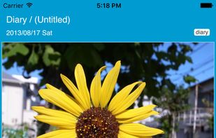 colocolomemo screenshot 1