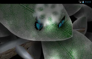 Tap Leaves Live Wallpaper screenshot 3