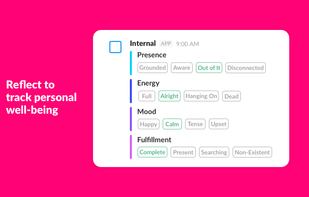Internal screenshot 1