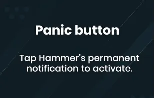 Hammer Security screenshot 2