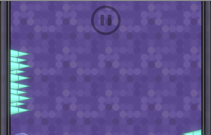 Ninja 314 screenshot 2