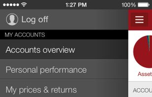 Vanguard screenshot 2