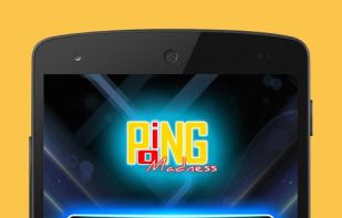 Ping Pong Madness screenshot 1
