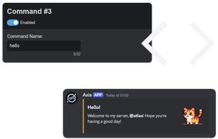 Custom Commands