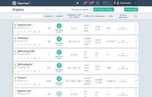 Topvisor screenshot 1