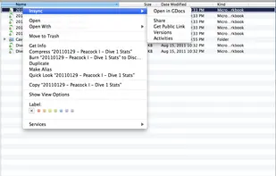 Finder Context menu on Mac (Lion)