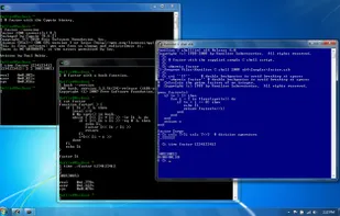 Cygwin terminals running on Windows 7