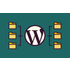 Domain Mapping icon