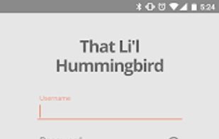 That Li'l Hummingbird screenshot 1