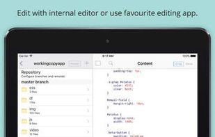 Working Copy screenshot 2