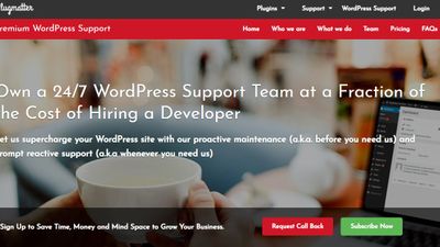Plugmatter WordPress Support Service screenshot 1
