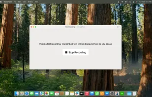 Transcriptor screenshot 1