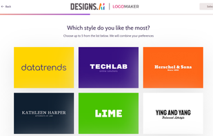 Choose the most preferred style out of the AI generated options.