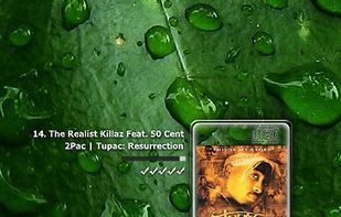 CD Art Display screenshot 2