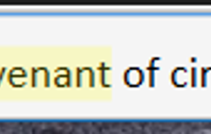 BibleVerseWidget screenshot 1