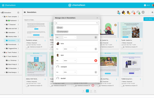 manage roles and access level
