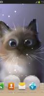 Peper Kitten Live Wallpaper screenshot 1