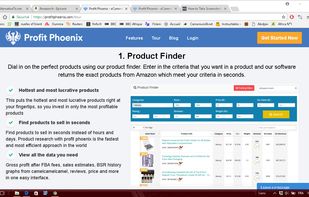 Profit Phoenix screenshot 1