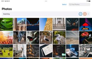 Find: A modern Photo Manager screenshot 1