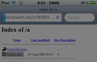 Safari Download Manager screenshot 1