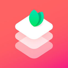Zyl icon