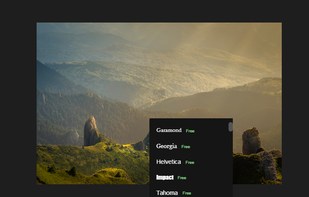 Choose font for the watermark