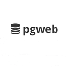 pgweb icon