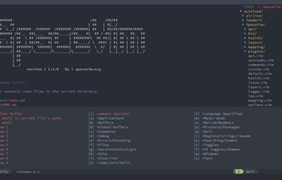 Spacevim screenshot 1