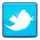 Twitter connect Icon