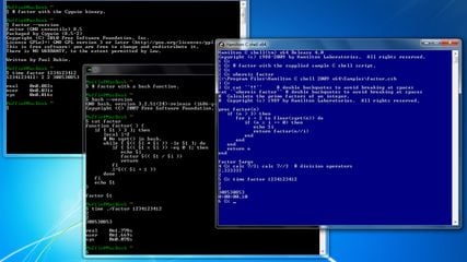 Cygwin terminals running on Windows 7